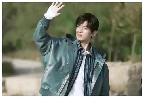 成毅爆料最新消息视频播放,揭秘幕后故事与精彩瞬间  第1张