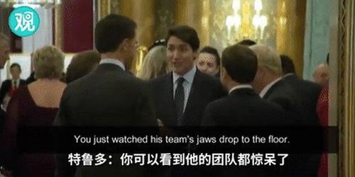 特朗普八卦爆料视频播放,八卦爆料视频背后的惊人真相  第2张